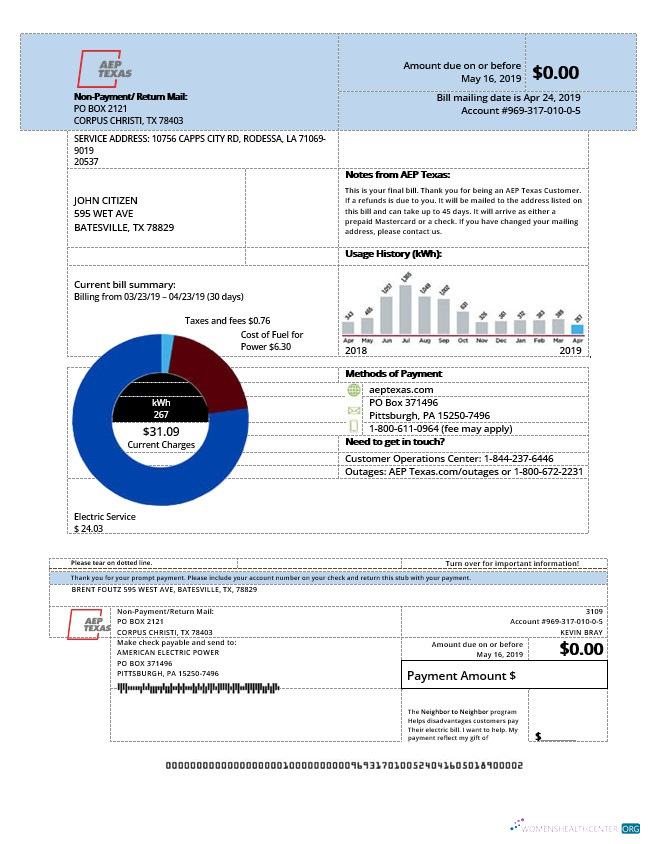 download download USA AEP Texas electricity utility bill template in Word and PDF format PDF template PDF template